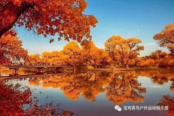 桂v是哪里的车牌号码